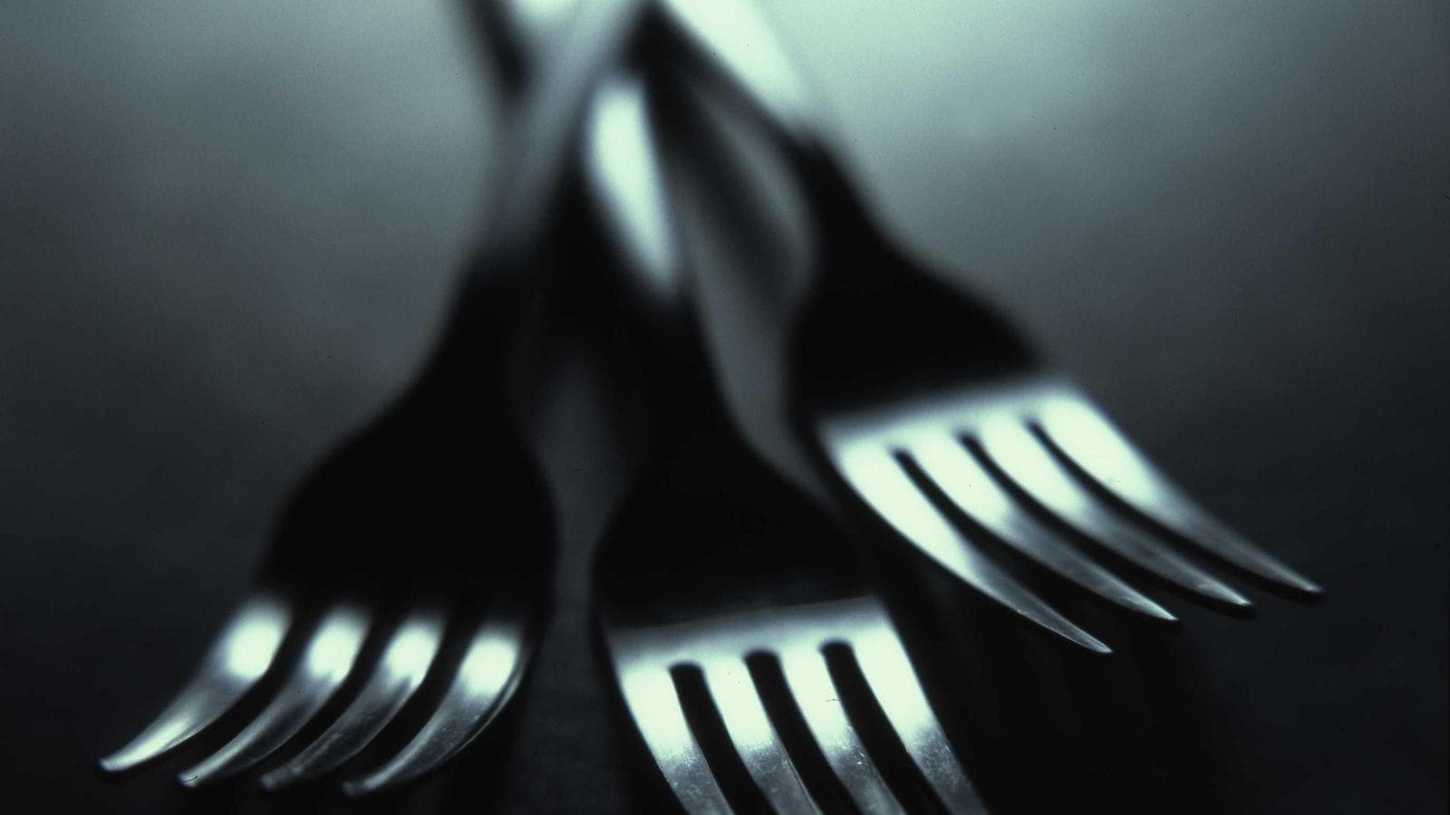Productos y plataformas